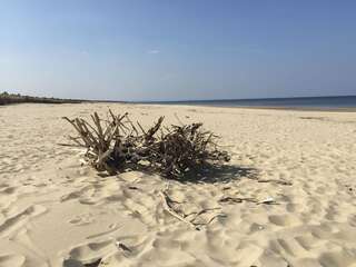 Апартаменты Bajkowa Plaża - Muszelka Гданьск Апартаменты Делюкс-41