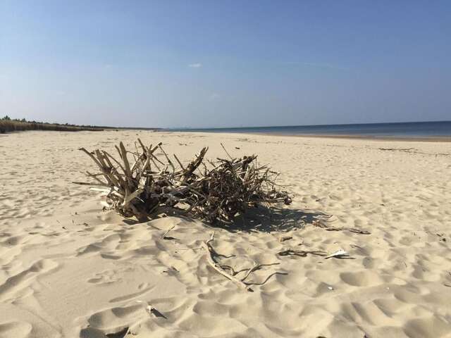 Апартаменты Bajkowa Plaża - Muszelka Гданьск-76